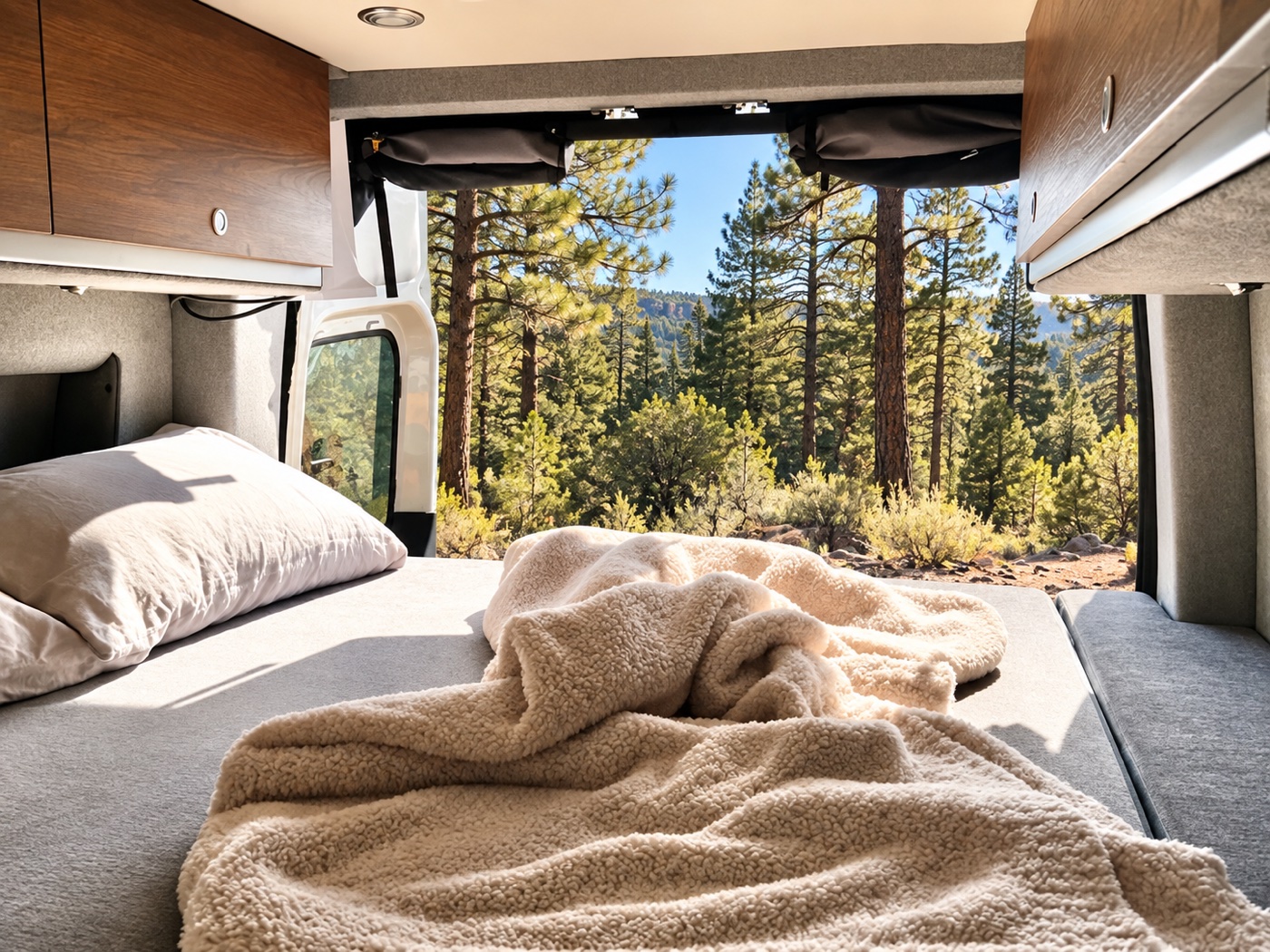 Illustrative interior view looking out toward a pine forest